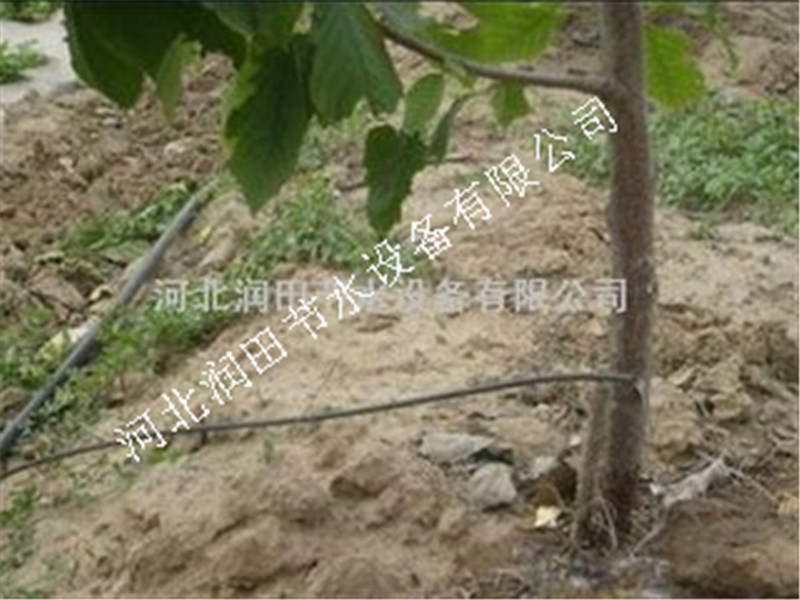张家口涿鹿县果树滴灌-【河北润田】