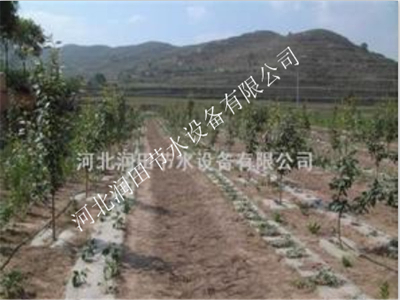 河北张家口草莓滴灌|配套稳流器|小管出流滴灌厂家