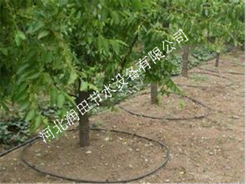 河北张家口涿鹿县果树滴灌【河北润田】