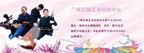 兰州成人学习什么乐器|兰州学习乐器学校收费|巴扬官网