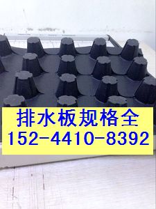 （供）南通车库防穿刺排水板∣地下室绿化排水板价格