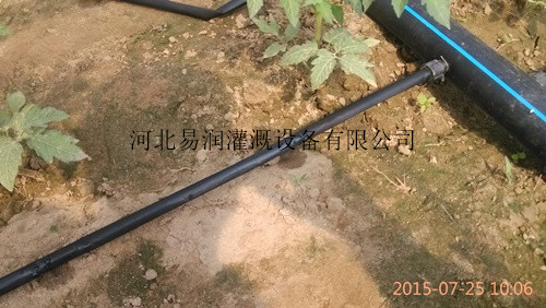 新型材质滴灌带 侯马市节水灌溉渗水带