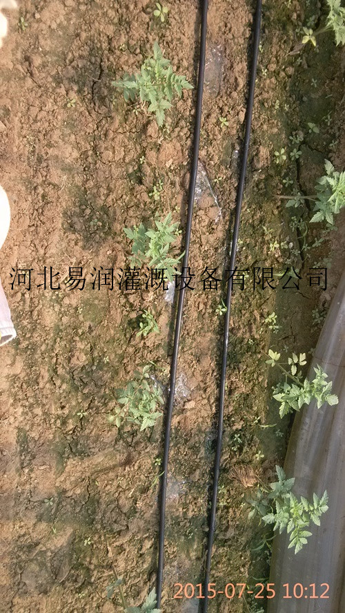 替代老式灌溉方式 侯马市滴灌带滴灌厂家