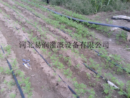 滴灌带几种形式 侯马市渗水带厂家详解