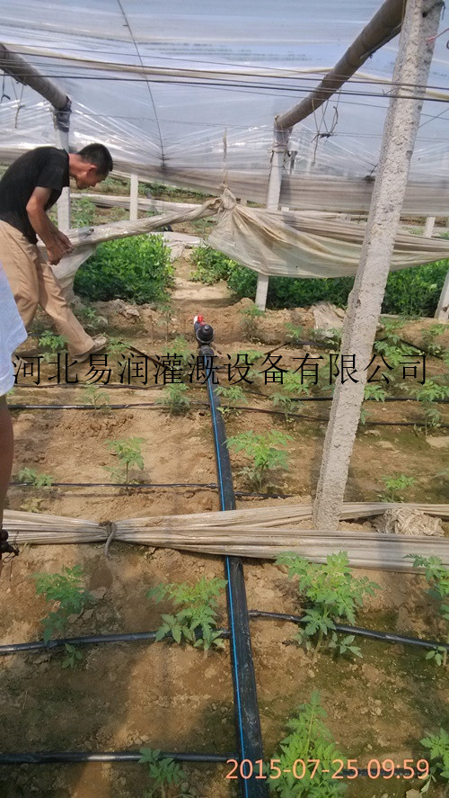滴灌带出水量 侯马市节水灌溉滴灌厂家