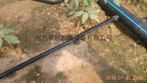 侯马市滴灌带安装方法 渗水带规格型号