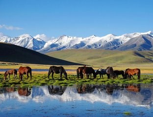 兰州自驾联盟租车热线|兰州自驾租车热线|兰州新远航官网