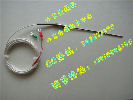 WZPK-191PT100 L=500 -30-300度热电阻