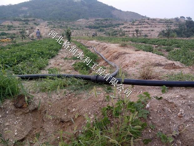 大同矿区果园滴水毛管价格| 节水灌溉产品