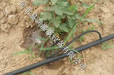 永和县小管出流安装方便 PE滴水带节水效果好