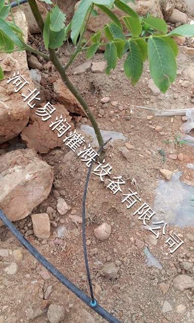 用化学绿化工程小管出流 滴灌过滤器设备