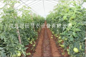 石家庄正定供应多种型号滴灌管设备 及配套滴灌管设备