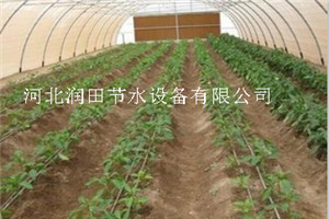 正定农用抗老化PE管价格 滴灌管供应商批发价格