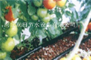 石家庄正定蔬菜灌溉管厂家|滴灌管批发