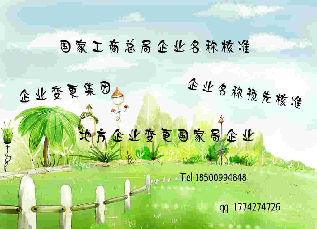 总局核名 字号该怎么取