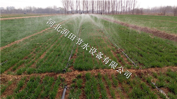 承德薄壁软带生产厂家及价格 河北微喷带