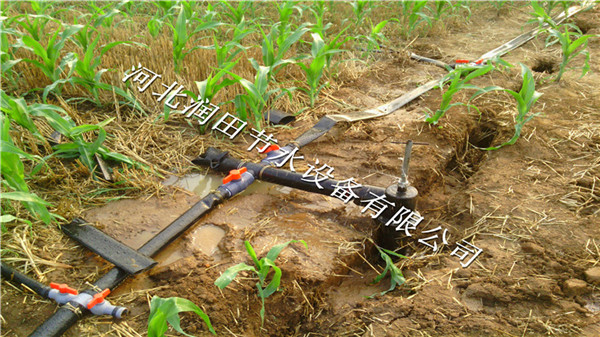 承德土豆灌溉微喷带 河北多种类带孔薄壁软带