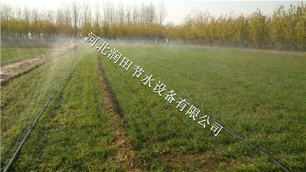 承德低价高质薄壁软带 河北耐用实惠微喷带