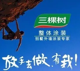 福建外墙漆招代理 福建外墙漆批发 福建外墙漆公司