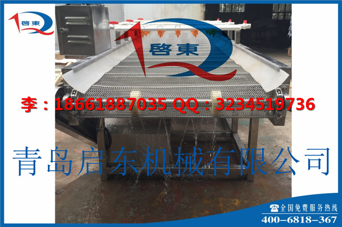 喷淋清洗机 振动式喷淋清洗机 蔬菜喷淋清洗机