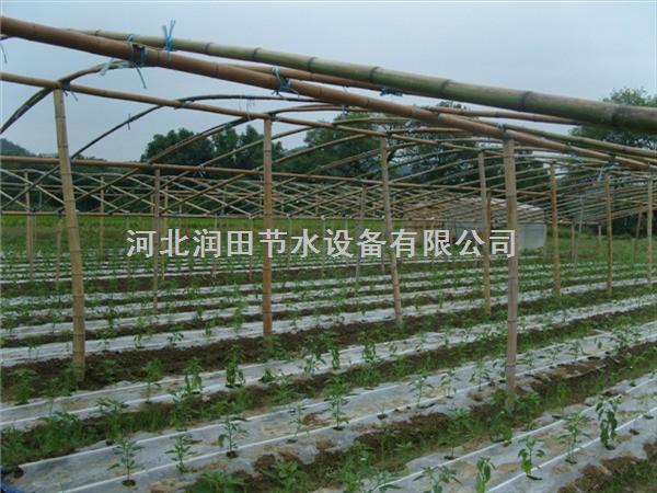 太原市销量高滴灌带 清徐县输水带使用注意事项