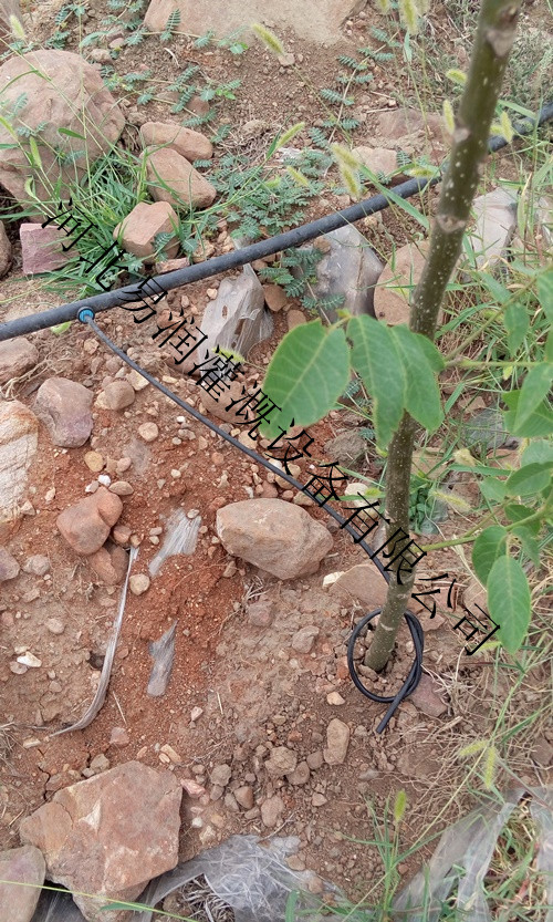 果树灌溉专用小管出流 平顶山农田灌溉滴水管大量上产