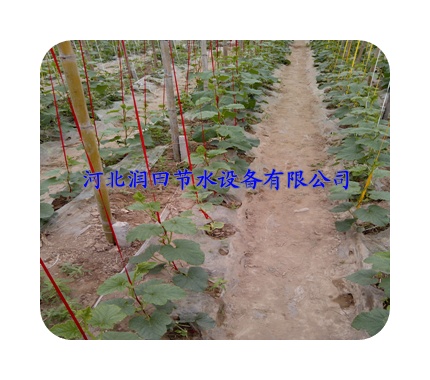 太原市滴灌带分类 娄烦县水肥一体化节水器材