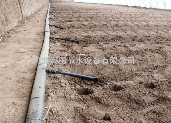 娄烦县土豆有效灌溉扁水带 太原市滴灌带保养维护