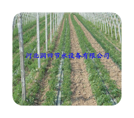太原市娄烦县大棚滴灌工程专用灌溉软带钜惠