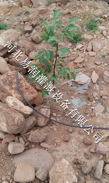 吕梁市直销小管出流 山区果树滴灌PE管专用
