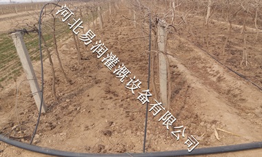 直销小管出流 吕梁市果树滴灌PE管批发