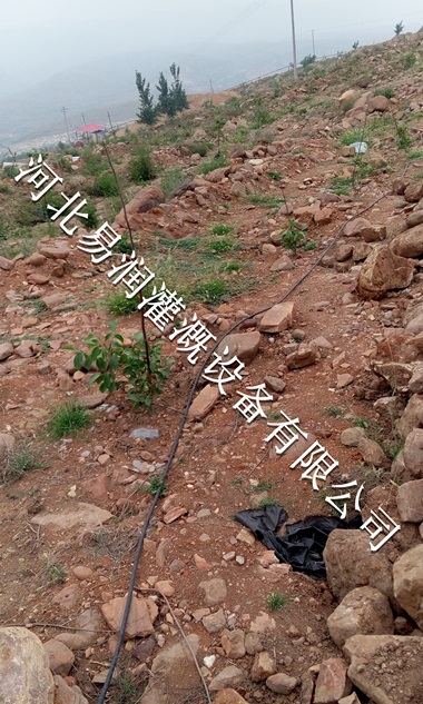 吕梁市小管出流全组套装 果树滴灌PE管节水设备