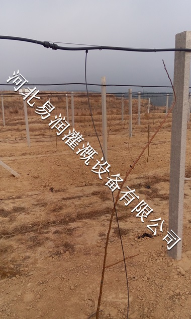 吕梁市绿化工程小管出流耐用 价格优惠果树滴灌PE管