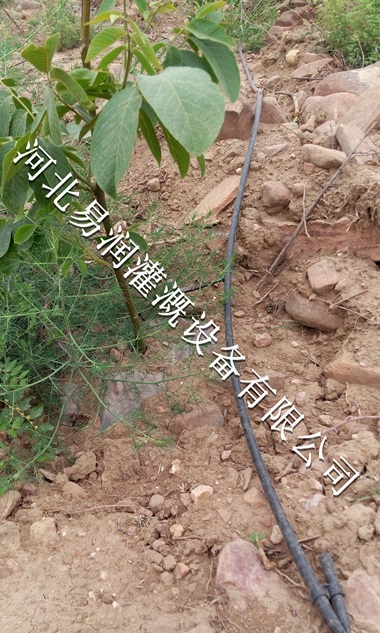 吕梁市小管出流放心省事 性价比高果树滴灌PE管