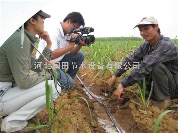 信阳市固始县膜下滴灌系统配套滴灌带|黑色滴水带