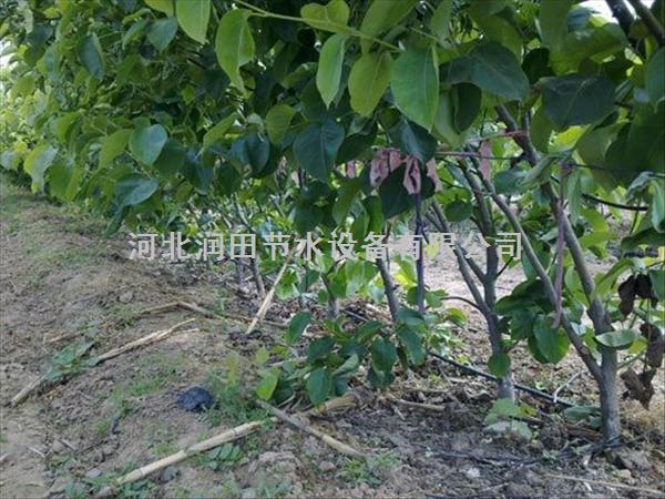 固始县厂家指导安装黑色滴水带 信阳市膜下滴灌带铺设