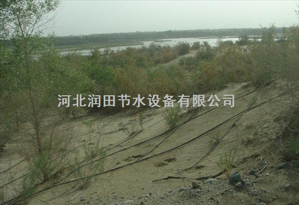 信阳市固始县滴灌厂家供应大田滴灌带|稳流器设备