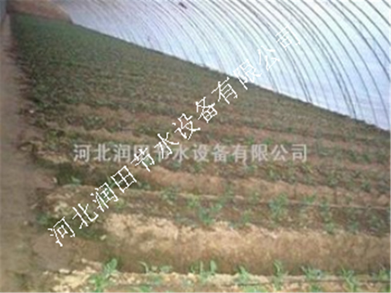 信阳市水肥一体化设备 固始县出水管|滴灌管及紊流器