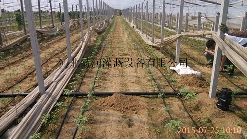 滴灌带技术 文水县塑料滴水带 滴灌厂家