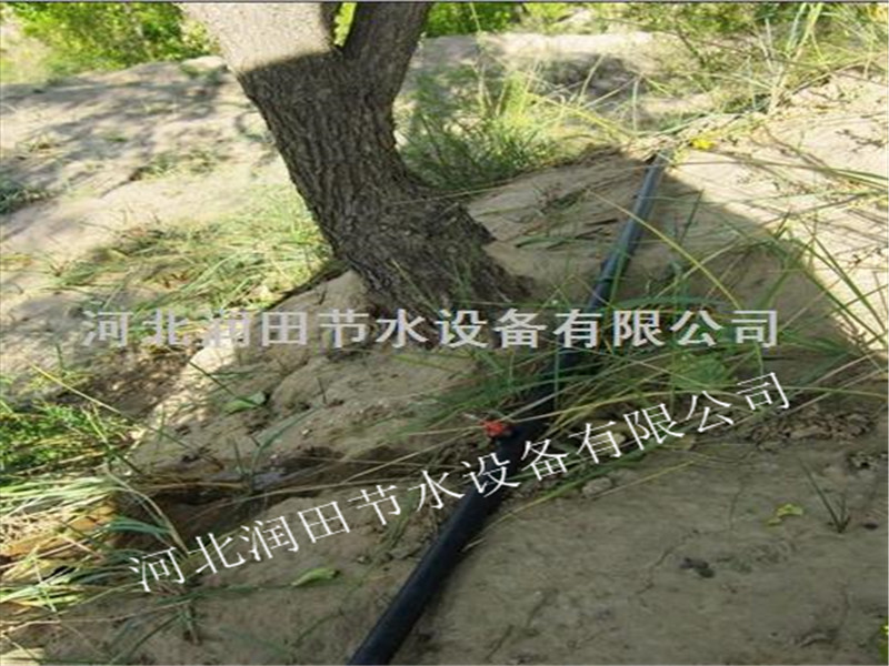 罗山县出水均匀小管出流装置 信阳市果树滴灌技术推广
