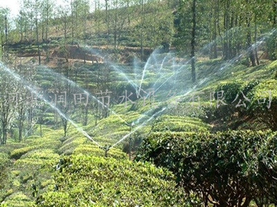 河南信阳大田喷灌 草坪喷灌喷头 水肥一体化