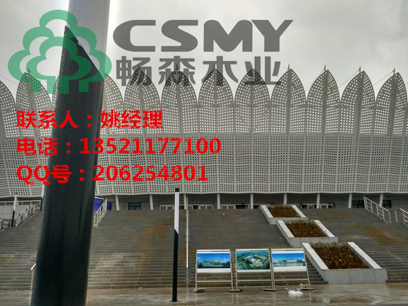 优质运动木地板厂家