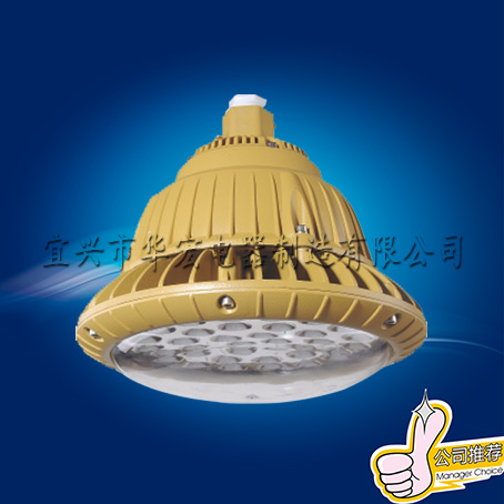 BAD85 LED防爆灯 防爆 节能LED灯