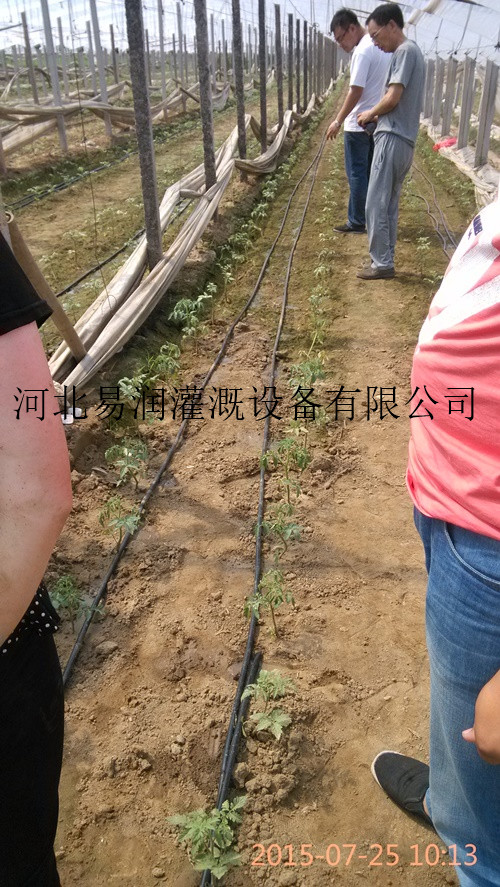 方山县自产自销滴灌带 聚乙烯软带批发零售