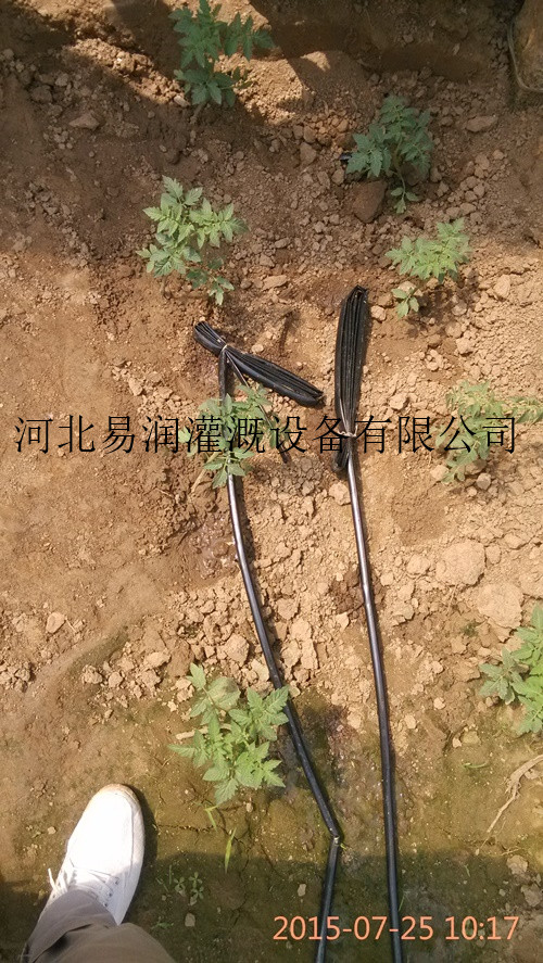 方山县绿化工程 优质滴灌带 塑料滴水带批发