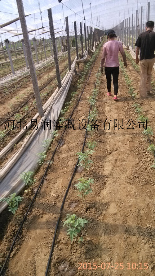 方山县直销塑料滴水带 滴灌带抗氧化