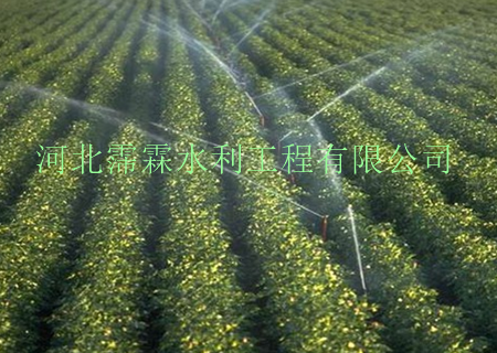 内蒙古赤峰市喷灌滴灌苗木大喷头价格 滴灌厂家