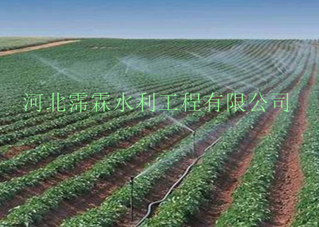 喷灌滴灌喷头质量上乘|内蒙古赤峰市苗木大田节水灌溉设备专用