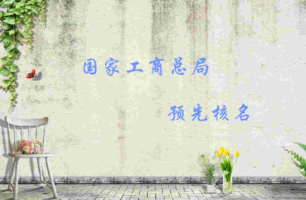 无行政区划预先核准名称