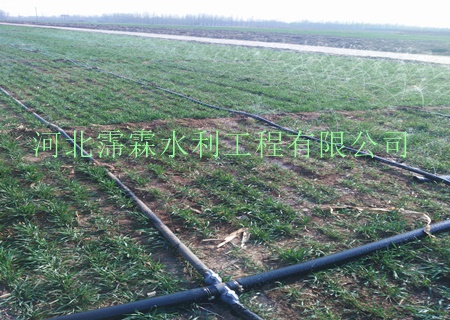 内蒙古苗木微喷带|微喷带系列|输水带配套齐全|厂家直销